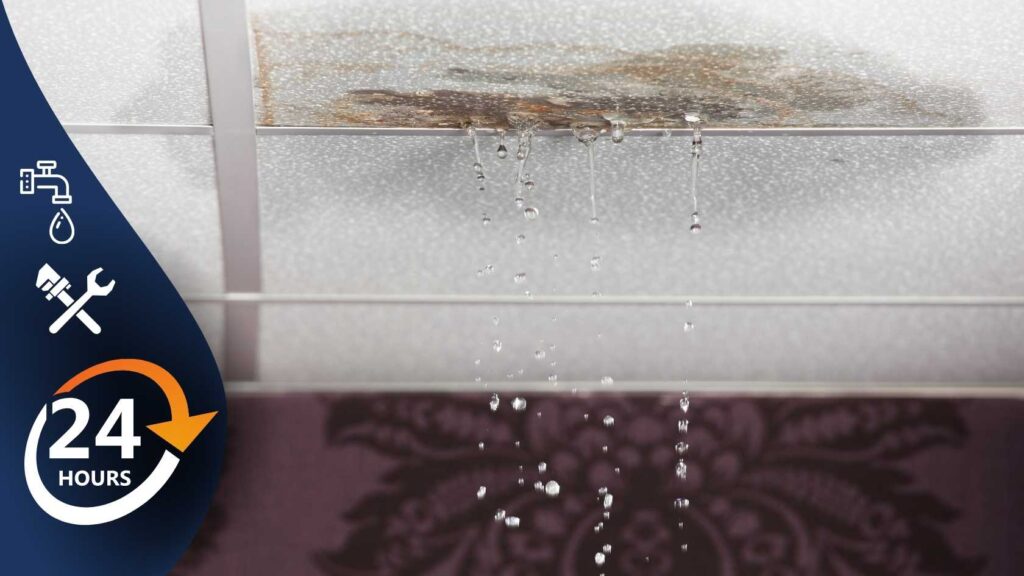 Curenje - Sanacija kod Vas i komšije